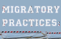 Migratory Practices