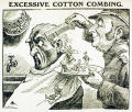 Thumbnail of EXCESSIVE COTTON COMBING